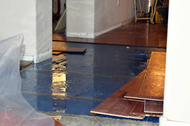 Professional Burst Pipe Cleanup technician working in Allenton, MI