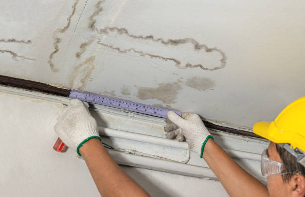 Reliable Burst Pipe Cleanup contractor in Allenton, MI by Local Water Damage Repair